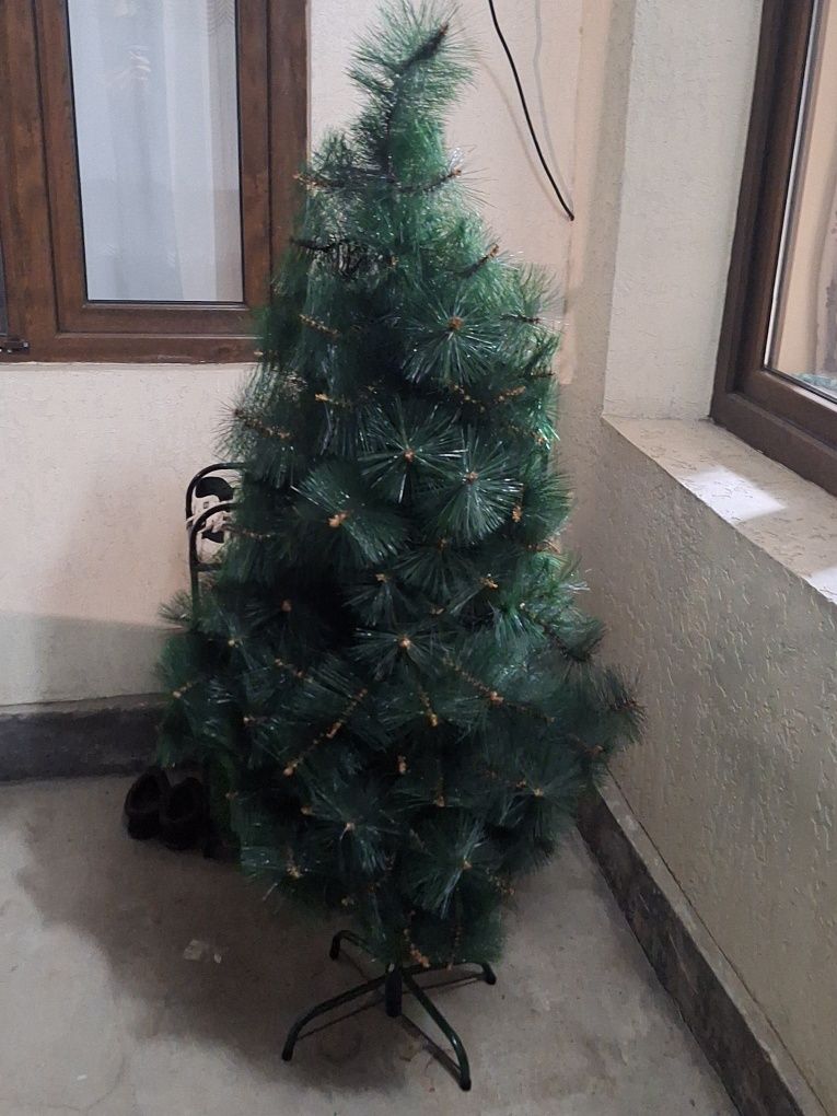 Archa sotiladi !