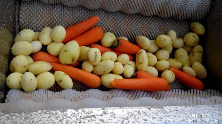 Машина за белене на картофи,моркови и други зеленчуци и плодове