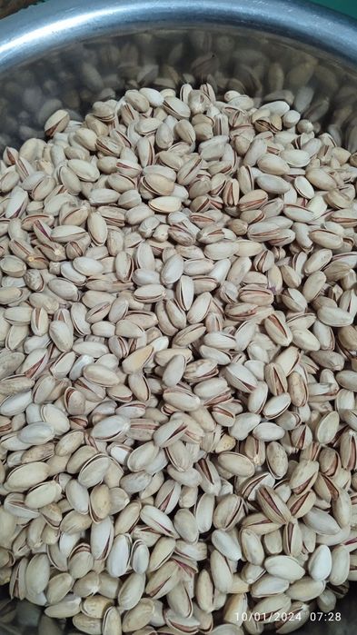 Eron pista urugʻi sotiladi