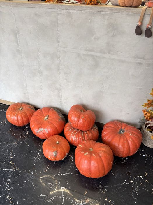 Тыква домашняя и очень спелая