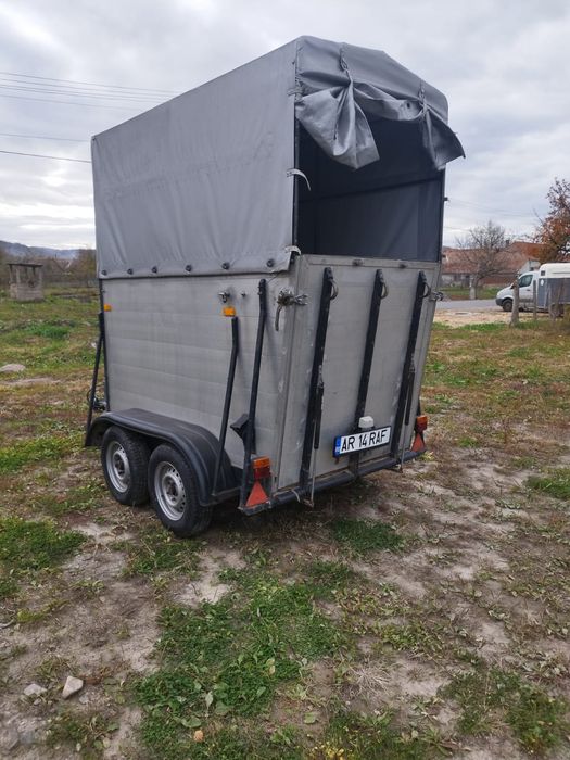 Vând sau schimb cu animale