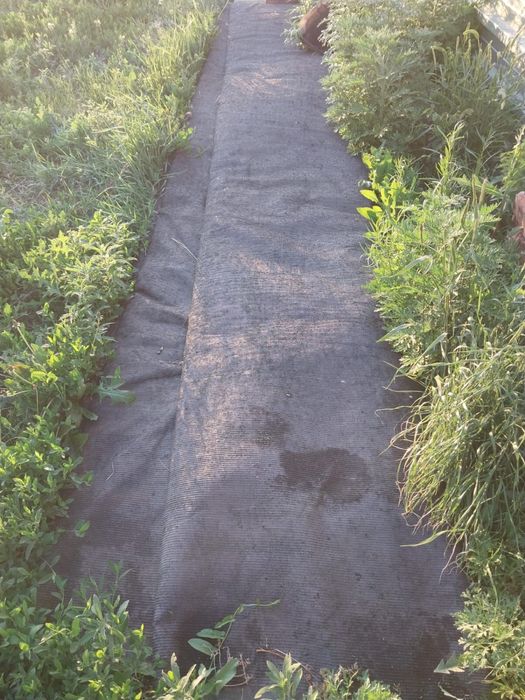 Искусственная зеленая поля