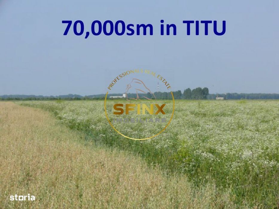 Teren Titu Dambovita 7 ha