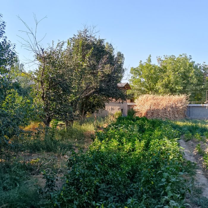 Юкори Чирчик туманида ер участками сотилади