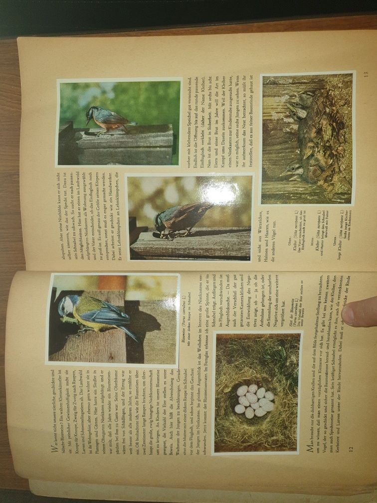 Helmut Handrick 1945 -cu camera foto prin  flora și fauna nativa