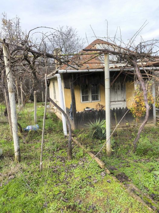 Вила - м. "Мъртва долина"