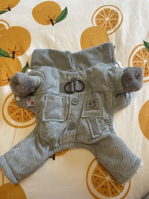 Зимно Яке за Пинчер/Чихуахуа