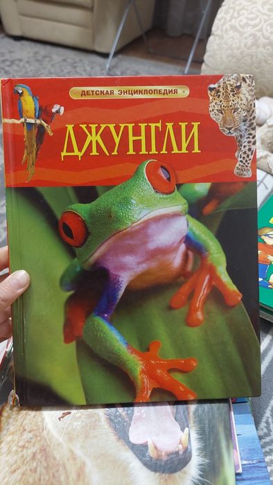 Книги детские энциклопедии