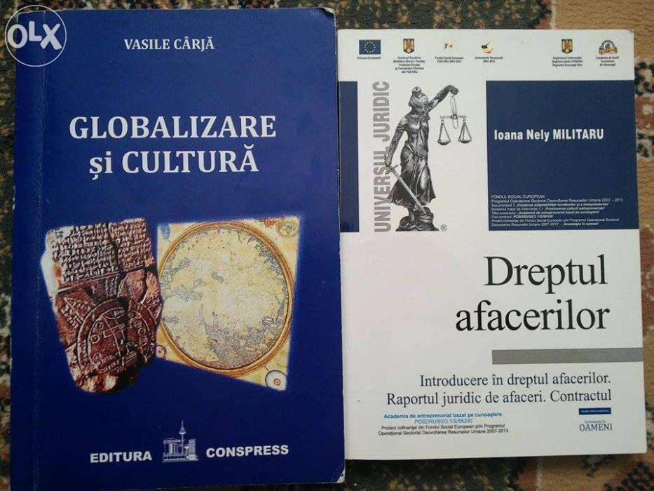 Globalizare si Cultura