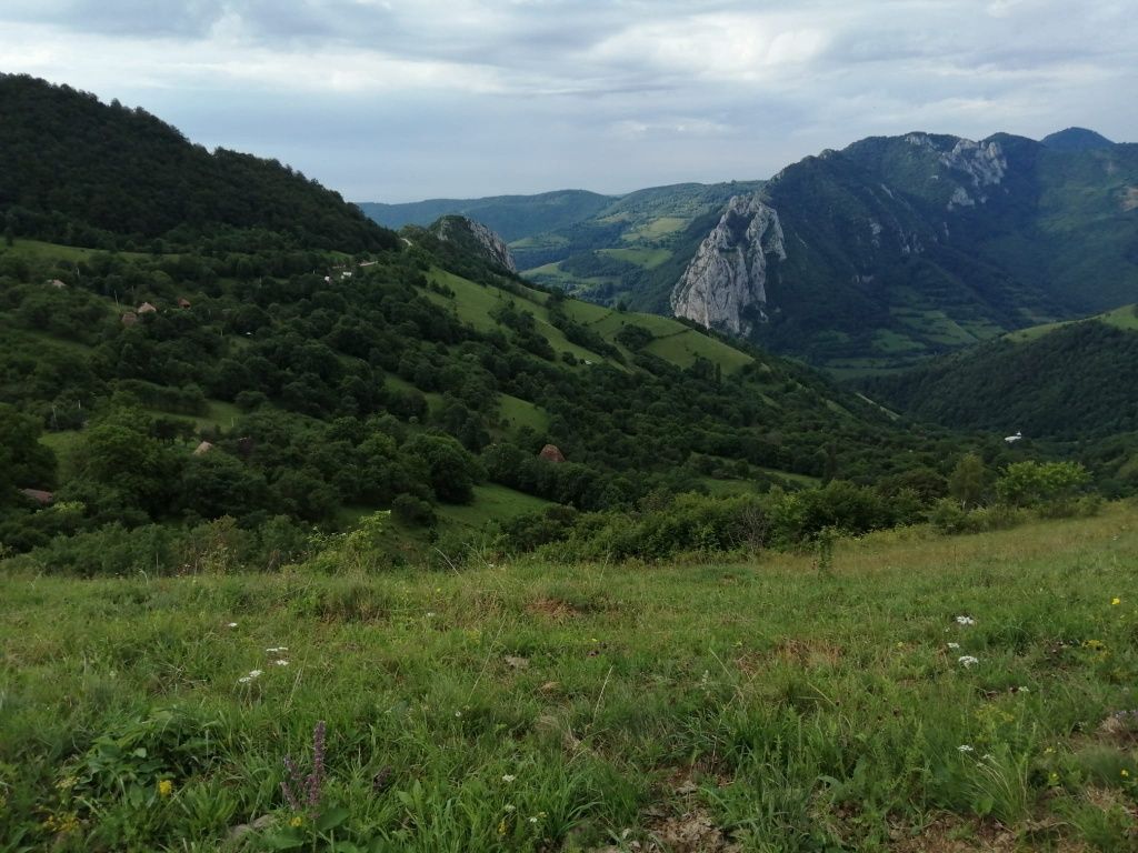 Teren de vânzare pe Transalpina de Apuseni in comuna Ramet