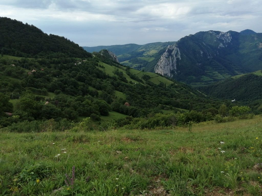 Teren de vânzare pe Transalpina Apusenilor in comuna Ramet