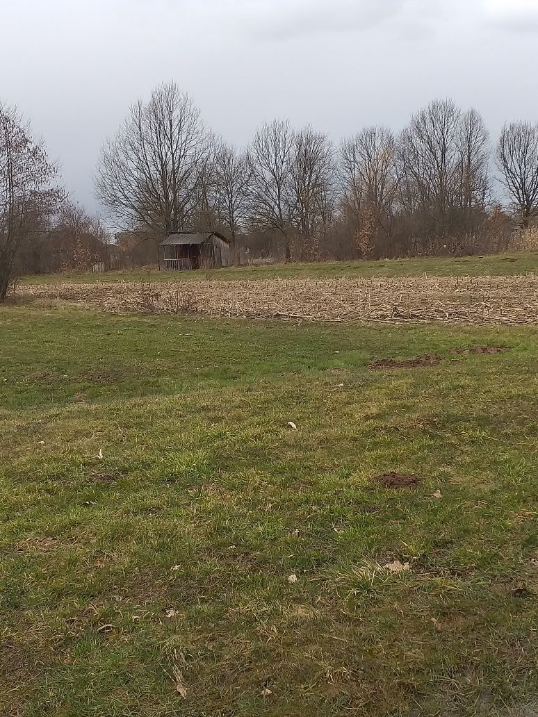 Vand teren intravilan 35 ari - Merisor (12km de Baia Mare)