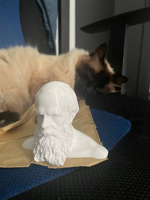 Modelare 3D, proiectare 3D, scanare 3D,printare 3D