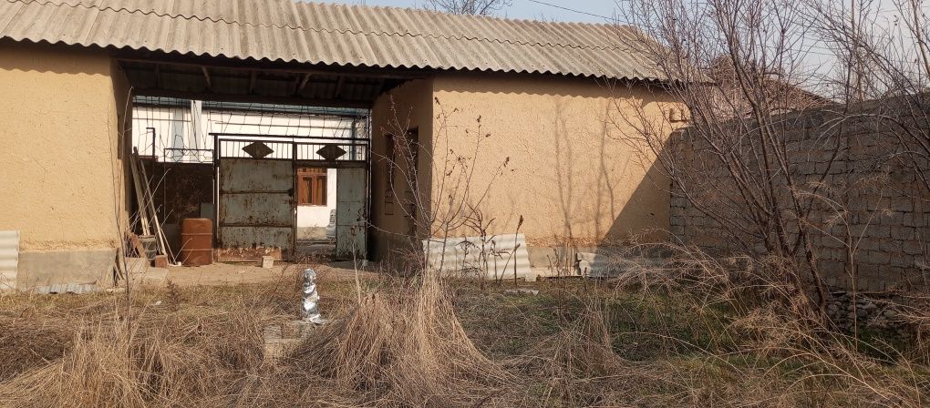 Бектимир туман олтин топган махалласида 8 сотихли Уй сотилади