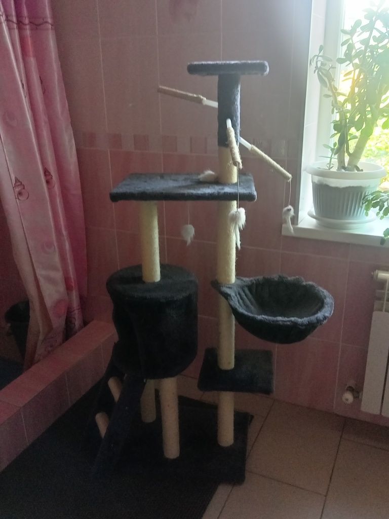 Зоотавары кошкин дом