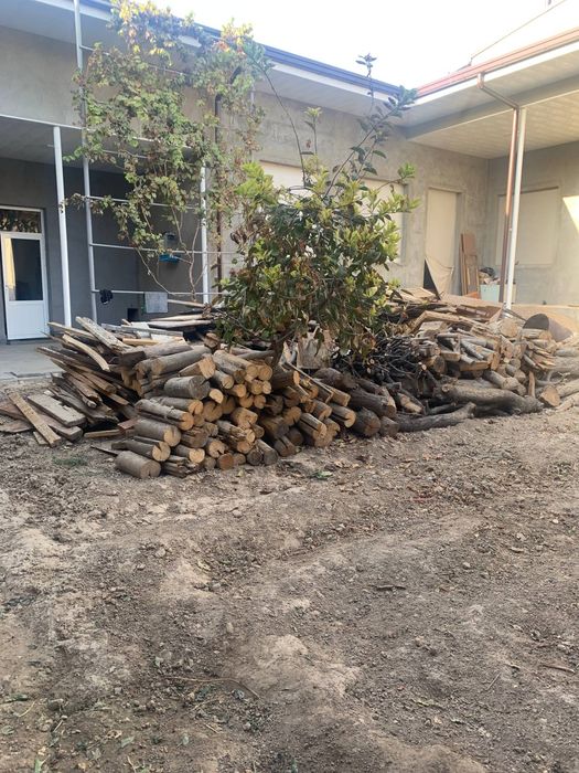 Quriq otin sotiladi srochna