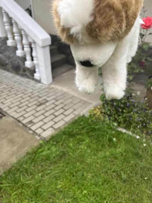 Gentuta catel, pt fetite