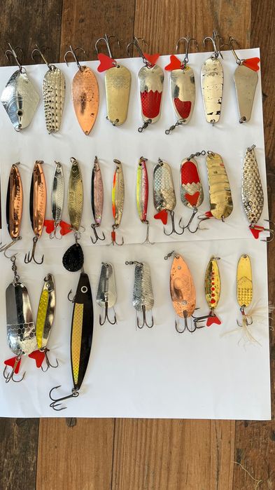 Блесни за щека и сом