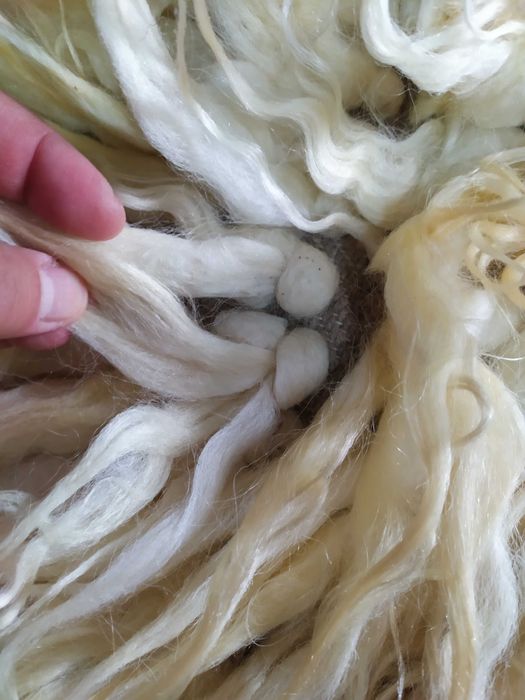 Чипровски пътеки, Котлетнски килими, китеници, халища-чисто нови