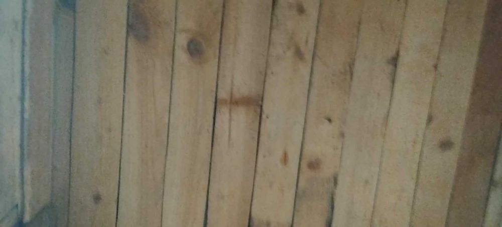 Продавам голяма къща за куче