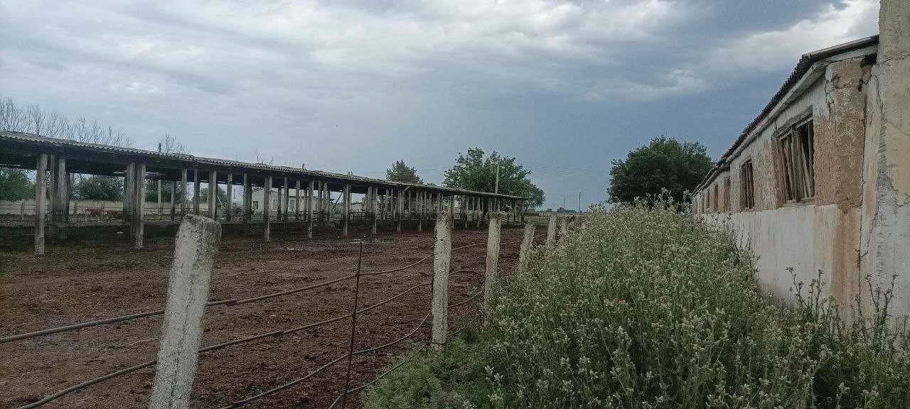Dostlik tumanida Chorvachilik binosi bo'lib to'lash asosida sotilmoqda