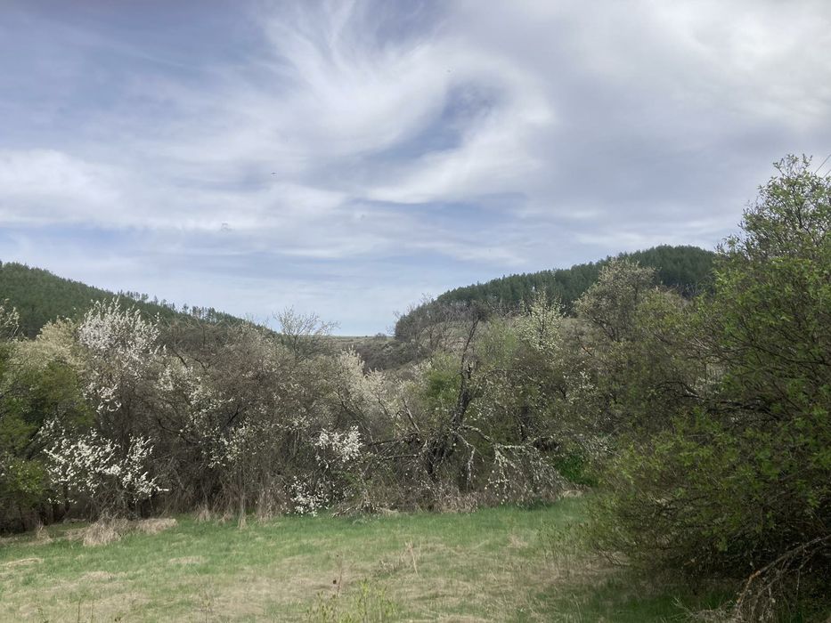 Продава се Парцел в с. Бабица, Област Перник - 1260 кв.м за 12 €/кв.м - Снимка #4