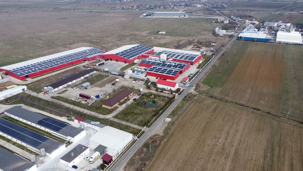 Km 70 A1- DE VÂNZARE-20.000 mp + Hale de producție!