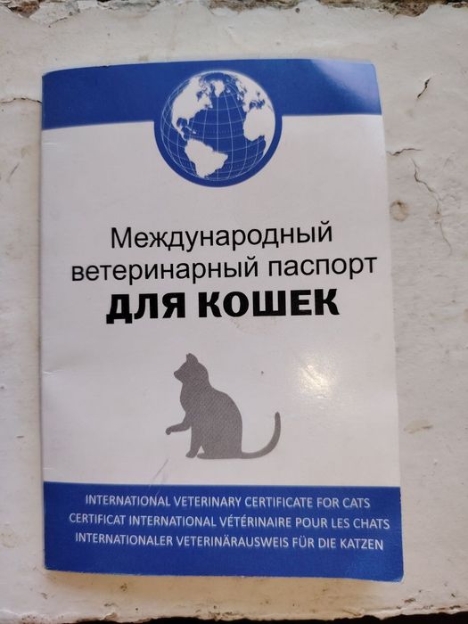 скотч мушук белий чистий