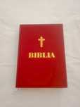 Biblie noua, Daniel.