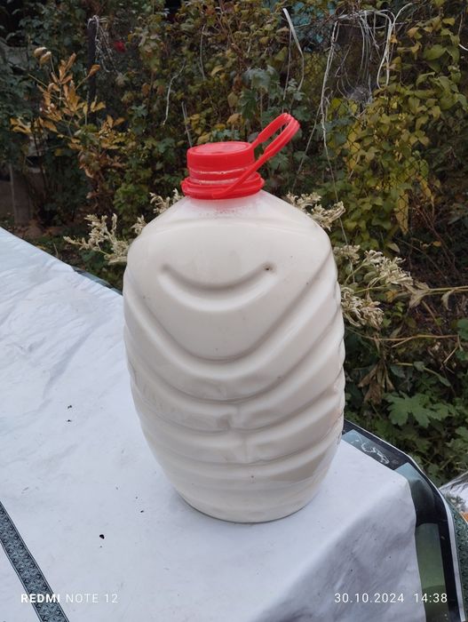 Продам молоко домашние
