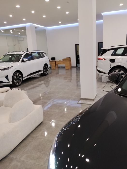 Dongfeng ep 008 Max