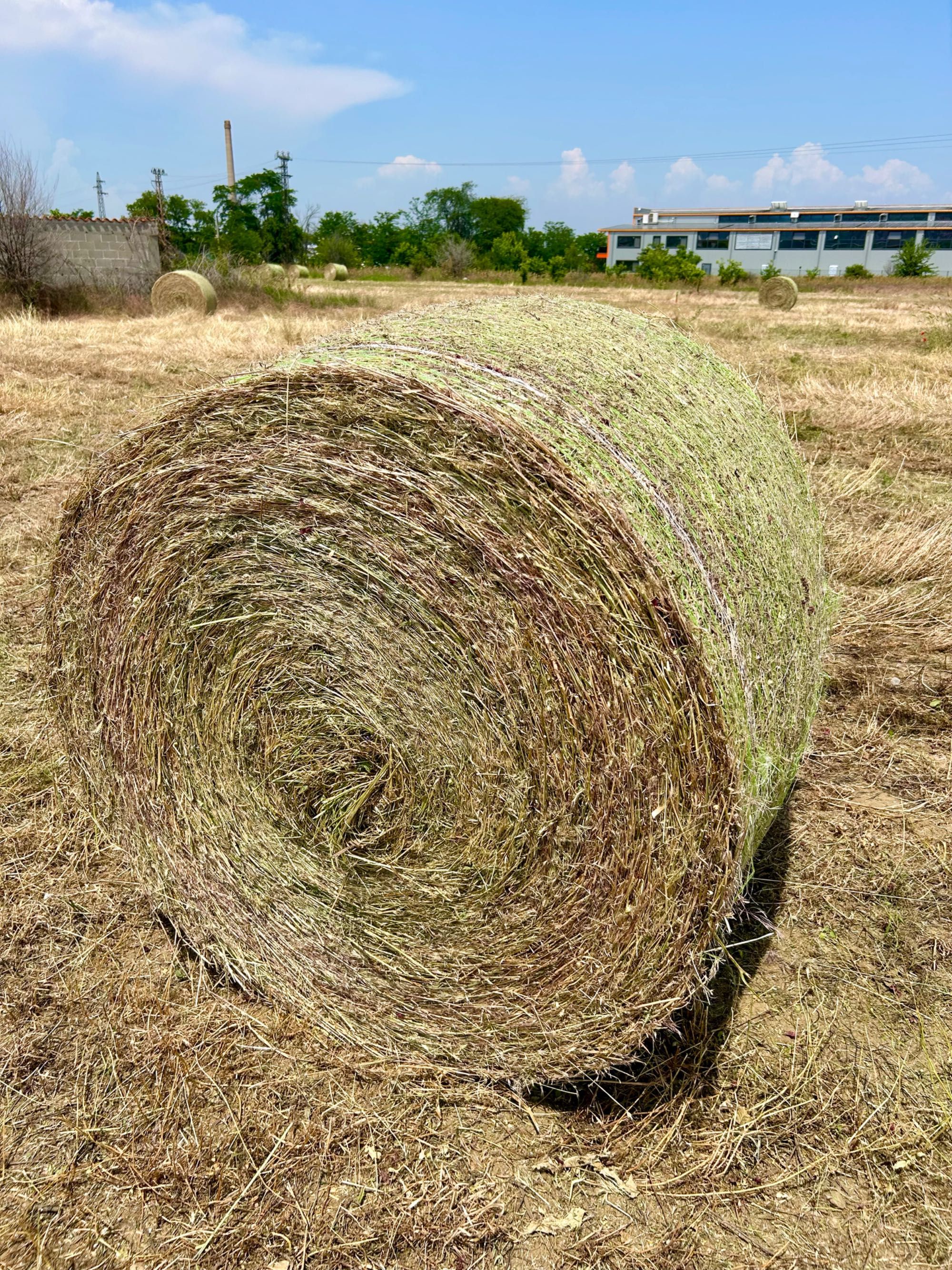 Рулонни Бали Сено, Овес и Слама