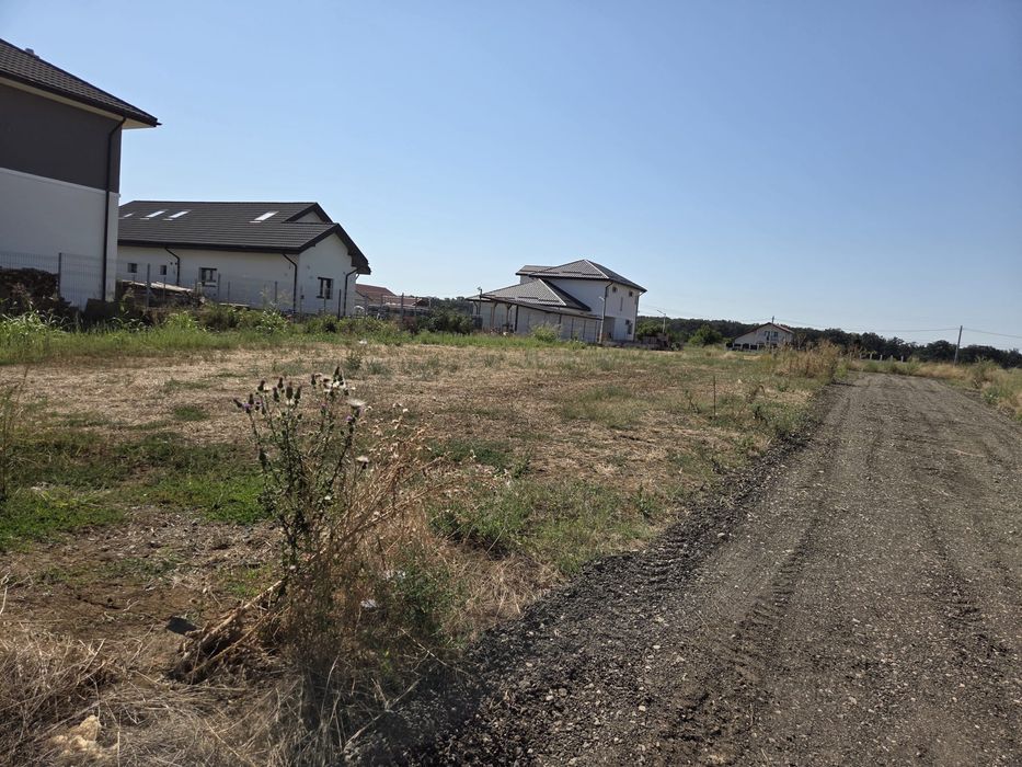 Teren de vanzare Branesti Ilfov(Vadu Anei)450-500 mp.