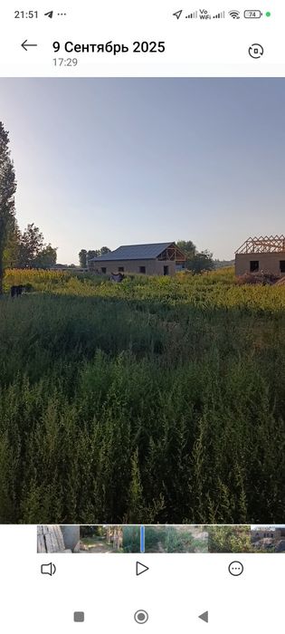 Янгийул Хамракулда 3 сутих ер сотилади