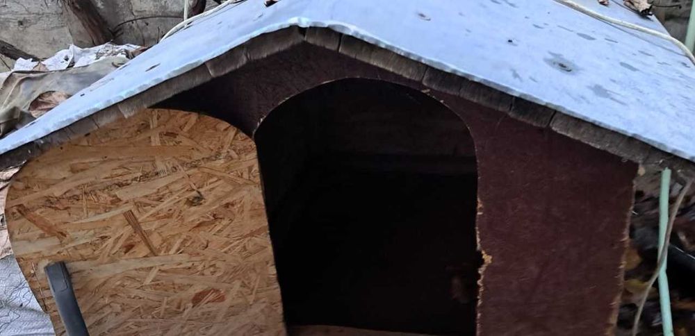 Cusca caine lemn/ OSB