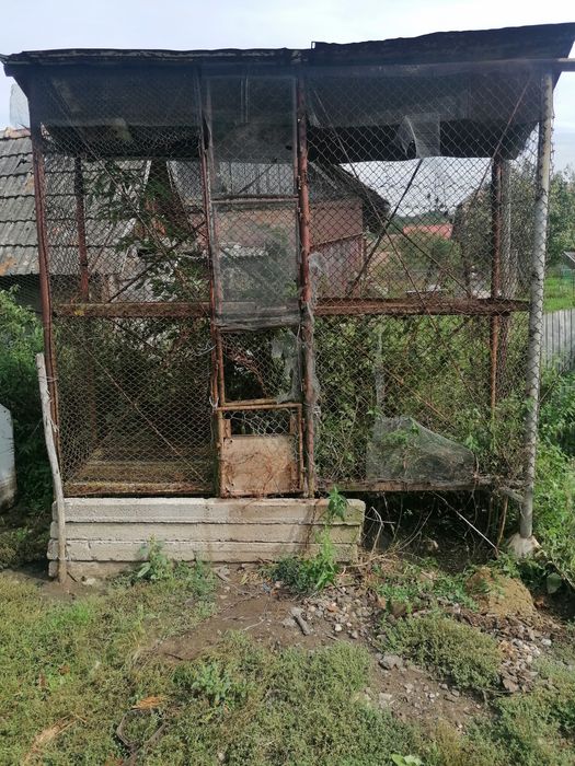 Loc pentru  depozitat  porumbul   ( Costei.)