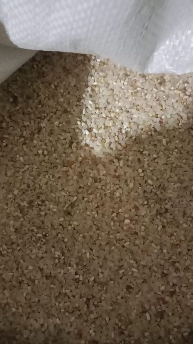 Сечка 100 тенге тауыкка кала ишине доставка тегин Куриштин сечкасы