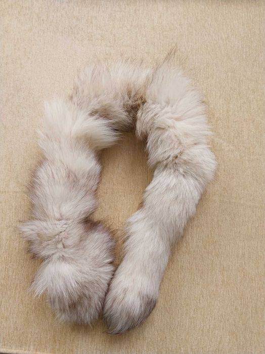 Яка от Сребърна лисица