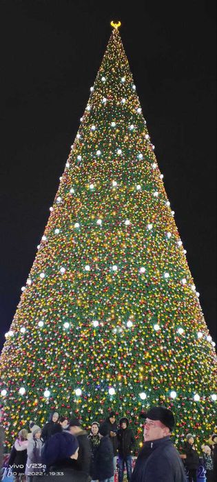 Новогодный ёлки болшие президентский! и Украшене! Елка, Katta Archa!