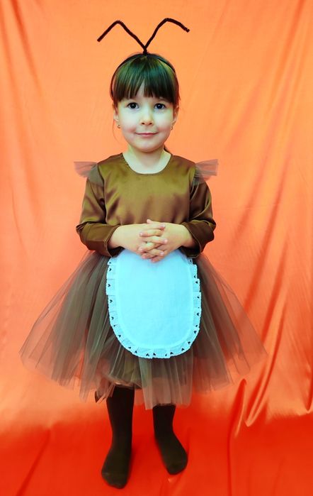 Costum furnică copii