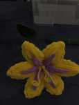 Floare handmade din filmul Rapunzel