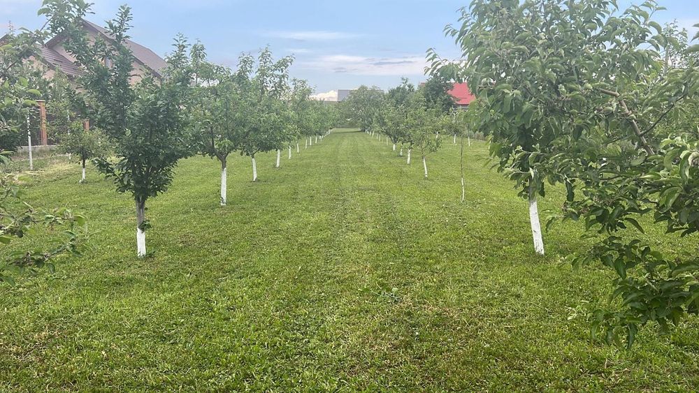 Teren vânzare 489mp Burdujeni