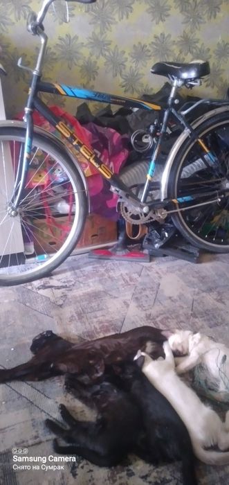 Взрослый велосипед марки СТЭЛС навигатор в идеале,