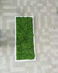 Tablou din licheni 70x30 cm (-30% oferta)
