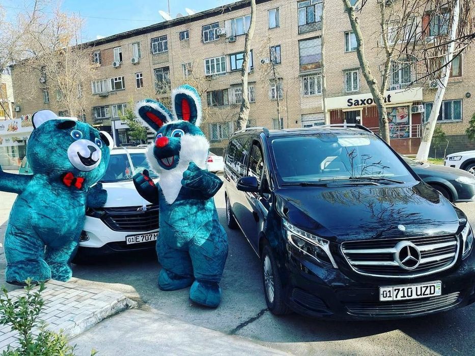 Ayiqlar,oformleniya xizmati! Skidkada%