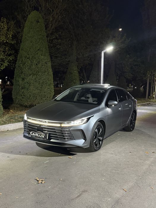 Byd Chazor 3 Poz full