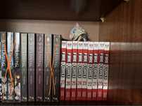 Solo leveling,Fire Force,TPN,Black Butler,Beastars манга/книги