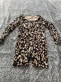 Vand salopeta scurta,maneci bumbac sustinut,compresiv animal print,XL