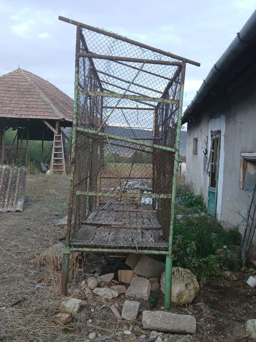 Coser porumb de vanzare