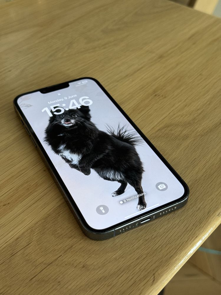 iPhone 13 Pro Max 512 GB